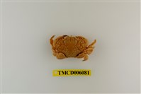 藏品(銅鑄熟若蟹)的圖片